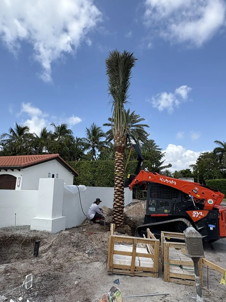 Expert yard maintenance for homes in Miami Beach, FL by Palm Pros305