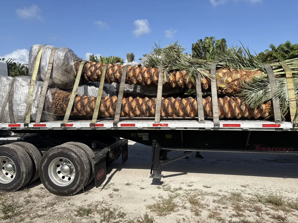 Top-rated landscaping services experts serving Miami Beach, FL - Palm Pros305