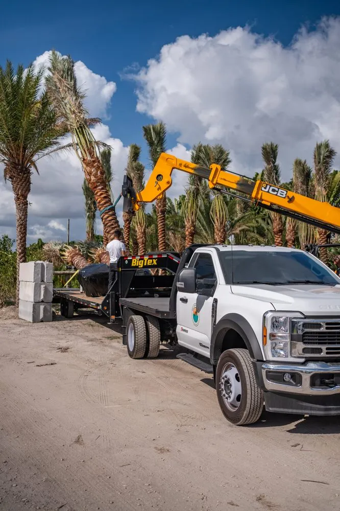 Expert yard cleanup service for residential properties in Miami Beach, FL by Palm Pros305