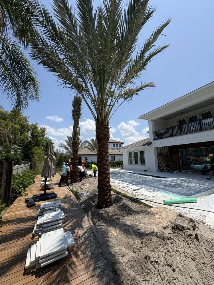 Custom landscape installation for beautiful yards in Miami Beach, FL by Palm Pros305