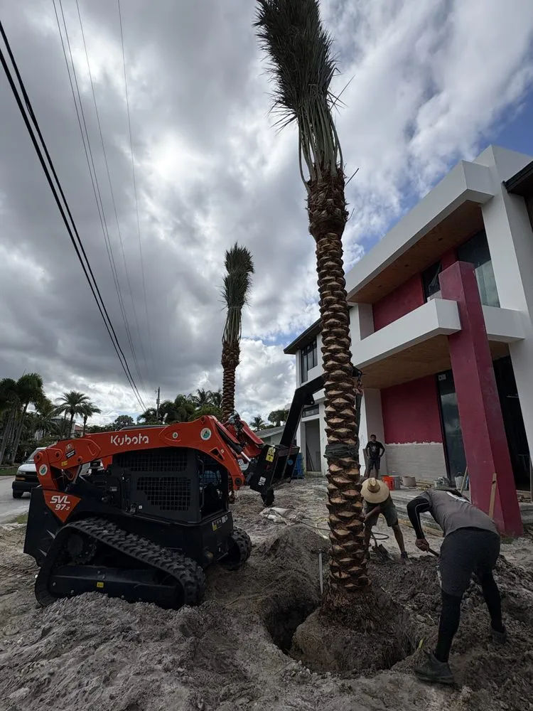 Top-rated lawn mowing service in Miami Beach, FL - Palm Pros305