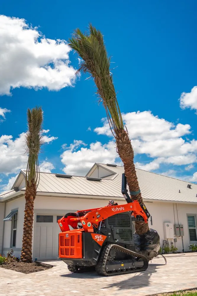 Affordable outdoor landscaping in Miami Beach, FL by Palm Pros305