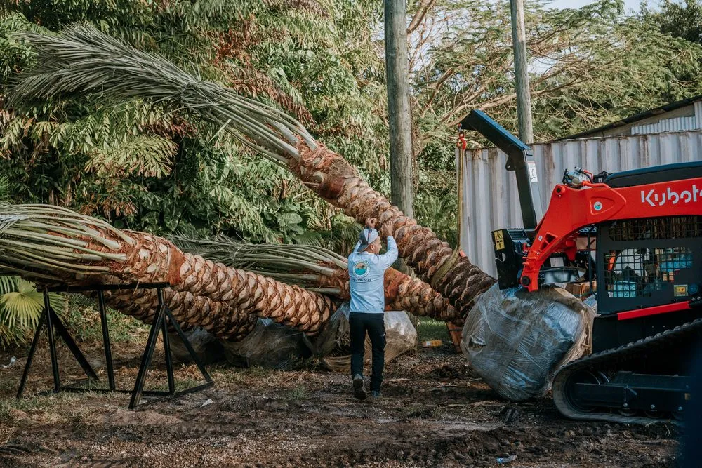 Custom yard cleanup service experts serving Miami Beach, FL - Palm Pros305