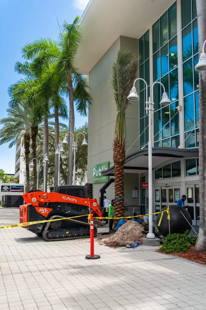 Custom residential landscaping for beautiful yards in Miami Beach, FL by Palm Pros305