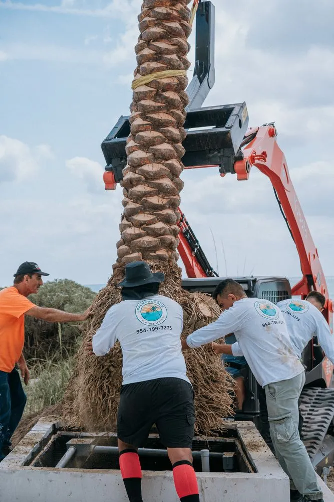 Custom garden landscaping for year-round maintenance in Miami Beach, FL by Palm Pros305