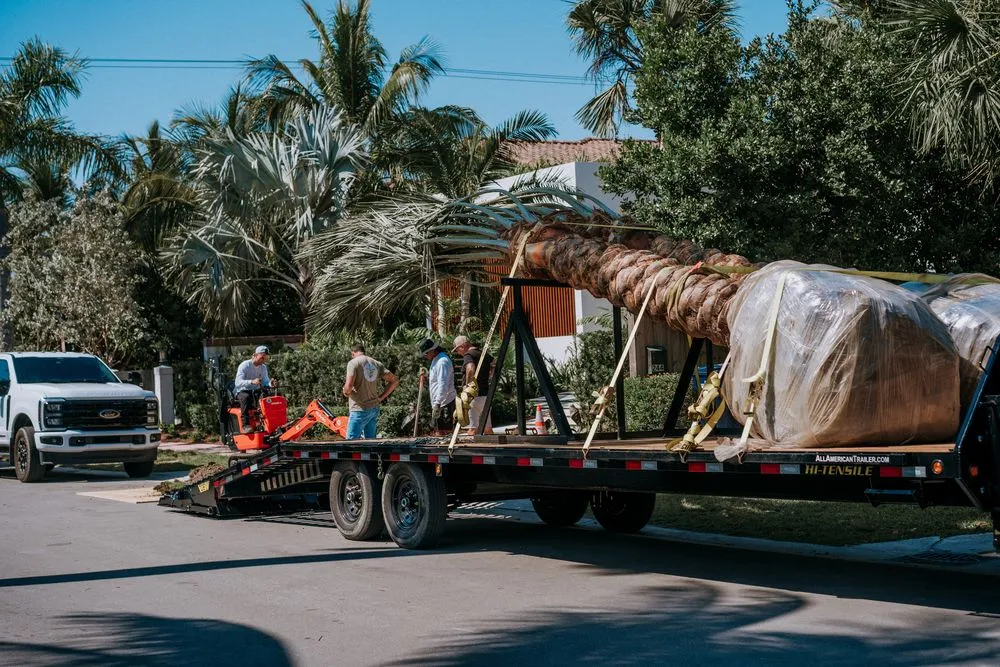 Top-rated landscape installation near you across Miami Beach, FL - Palm Pros305