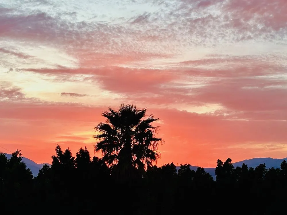 Reliable landscape installation for outdoor upgrades across Desert Hot Springs, CA - Palm Springs Landcare