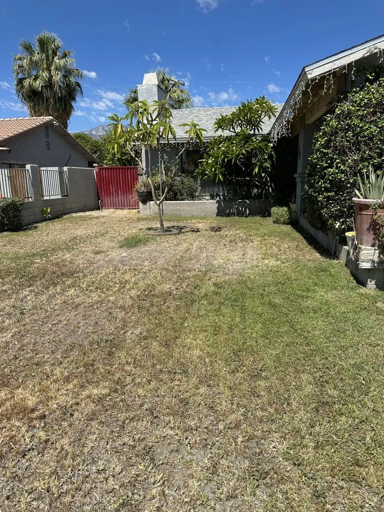 Professional outdoor landscaping in Cathedral City, CA - Palm Springs Landscaping