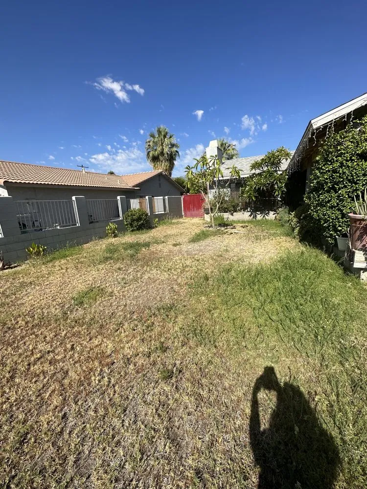 Expert lawn care service in Cathedral City, CA by Palm Springs Landscaping