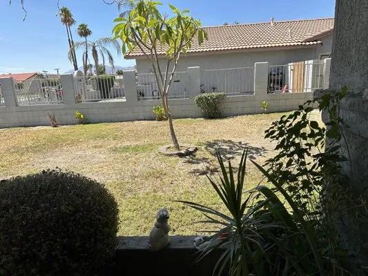 Palm Springs Landscaping Logo