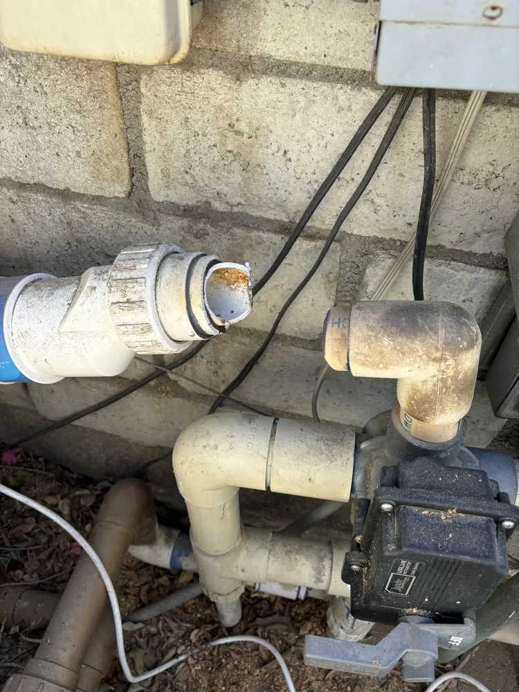 Custom landscaping services in Cathedral City, CA - Palm Springs Tree Service