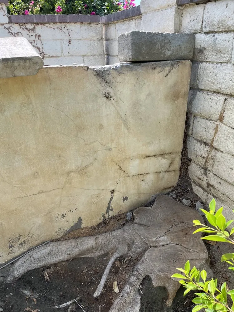 Expert landscape design experts serving Cathedral City, CA - Palm Springs Tree Service