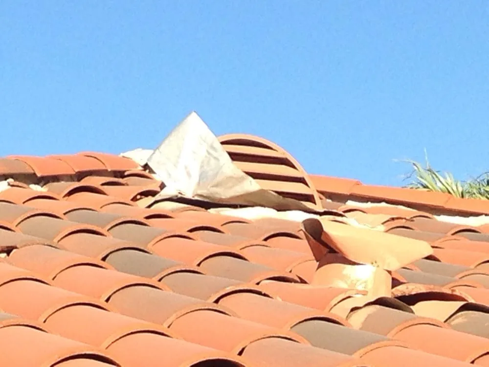 Expert residential landscaping with custom design across Cathedral City, CA - Palm Springs Tree Service