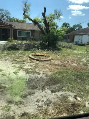 Palm State Outdoor Services Logo