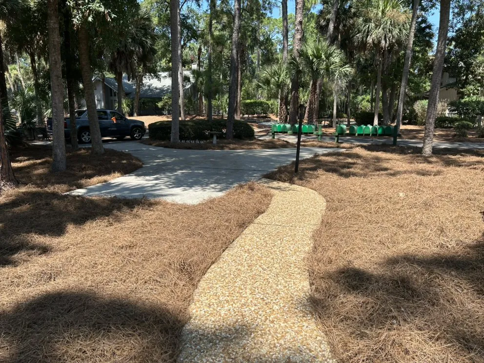 Trusted yard maintenance experts serving Hilton Head Island, SC - Palm Tree Lawn