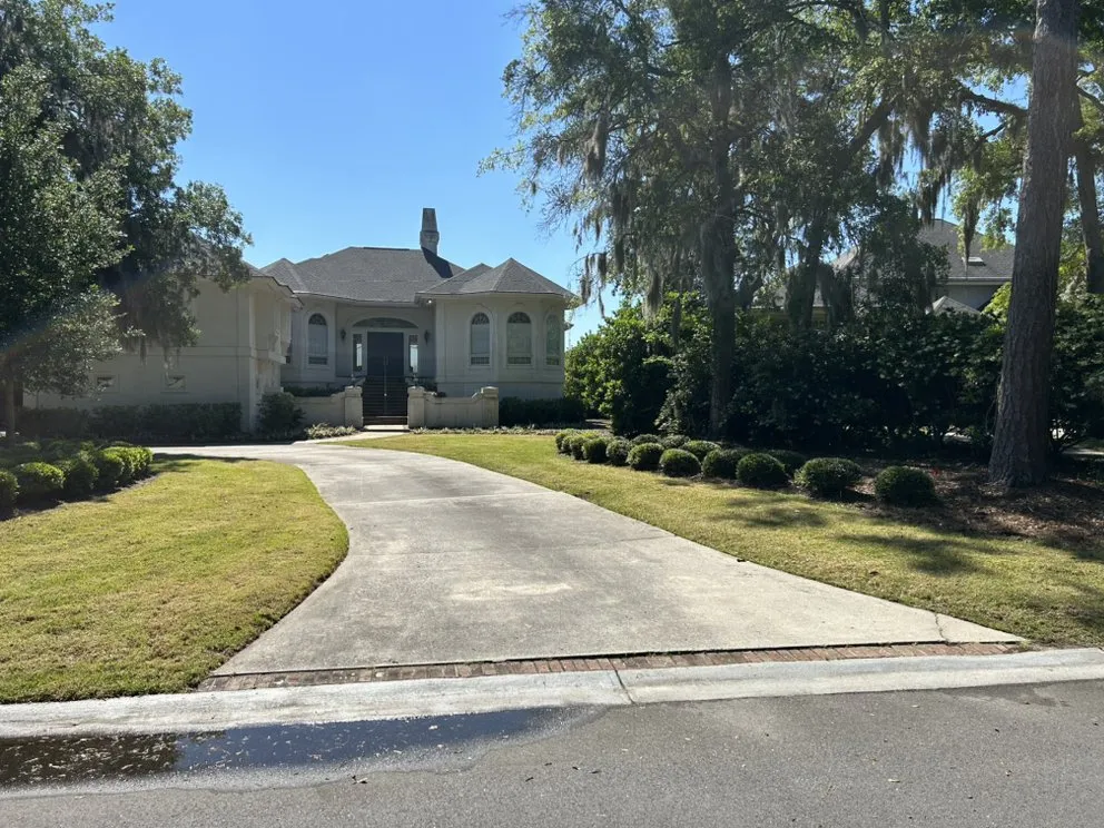 Local residential landscaping in Hilton Head Island, SC - Palm Tree Lawn