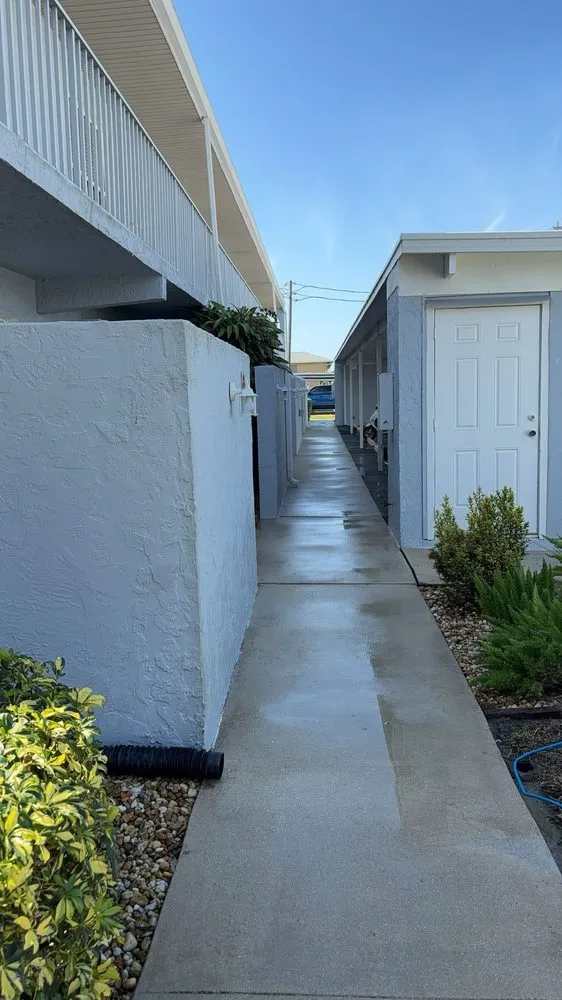 Reliable landscape installation experts serving Cape Coral, FL - Palm Tree Restoration