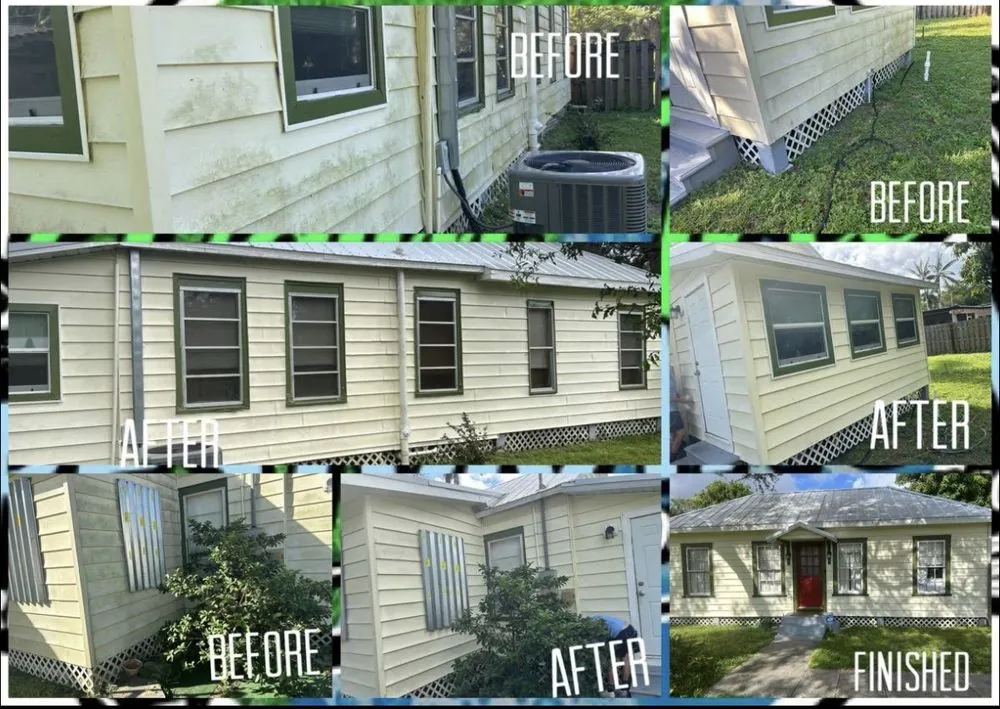 Top-rated outdoor landscaping experts serving Cape Coral, FL - Palm Tree Restoration