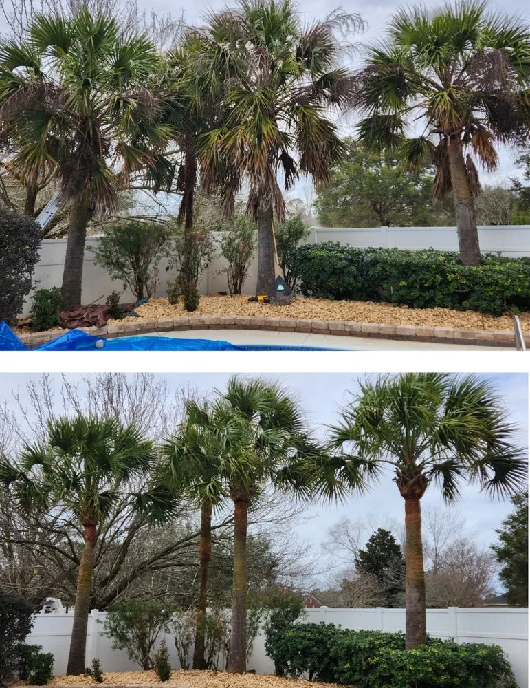 Expert landscape design in Pensacola, FL by Palm Tree Specialist of Pensacola