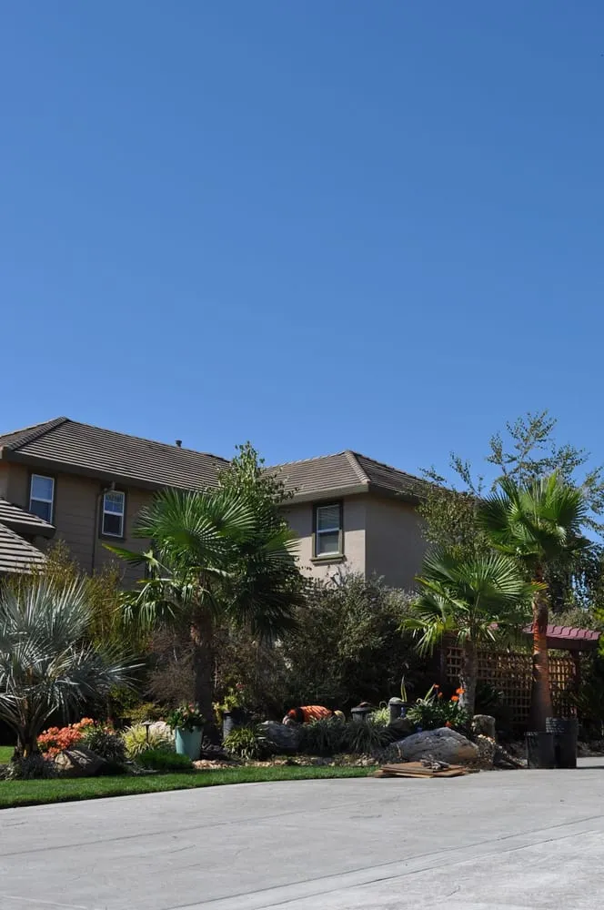 Top-rated residential landscaping in Galt, CA by Palm Trees and Plants