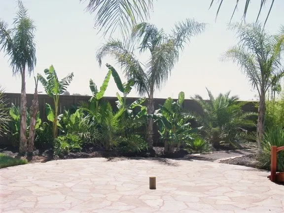 Local outdoor landscaping in Galt, CA by Palm Trees and Plants