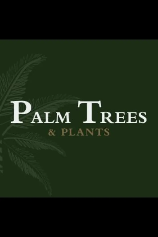 Trusted outdoor landscaping for beautiful yards across Galt, CA - Palm Trees and Plants