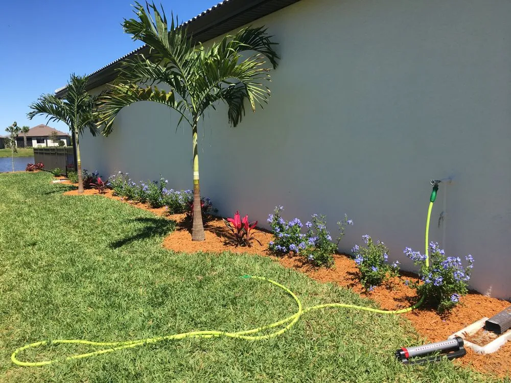Custom yard cleanup service in Punta Gorda, FL - Palm Trees Plus