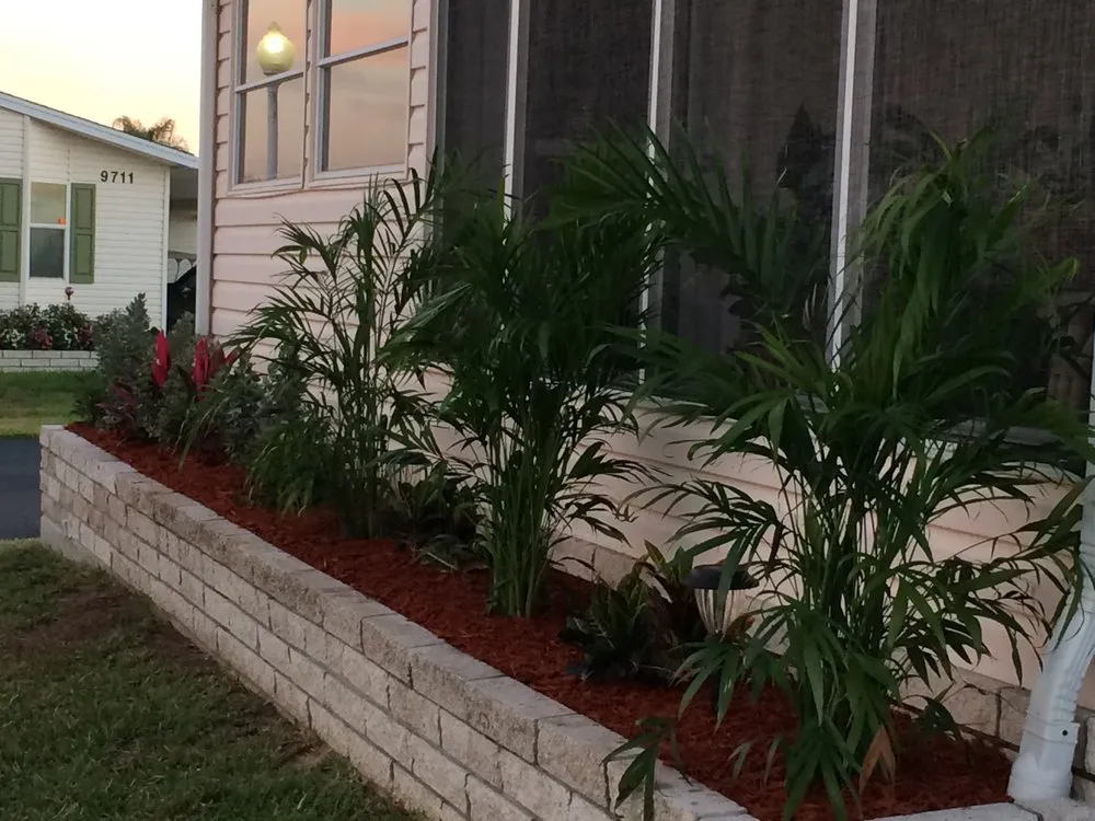 Custom landscape installation experts serving Punta Gorda, FL - Palm Trees Plus
