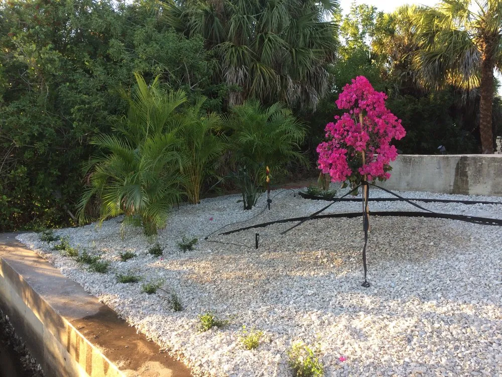 Professional landscape design with custom design across Punta Gorda, FL - Palm Trees Plus