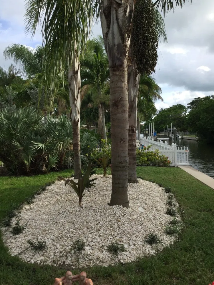 Trusted landscape installation experts serving Punta Gorda, FL - Palm Trees Plus