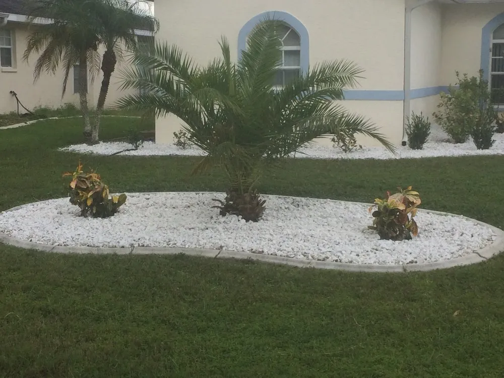 Expert lawn care service experts serving Punta Gorda, FL - Palm Trees Plus