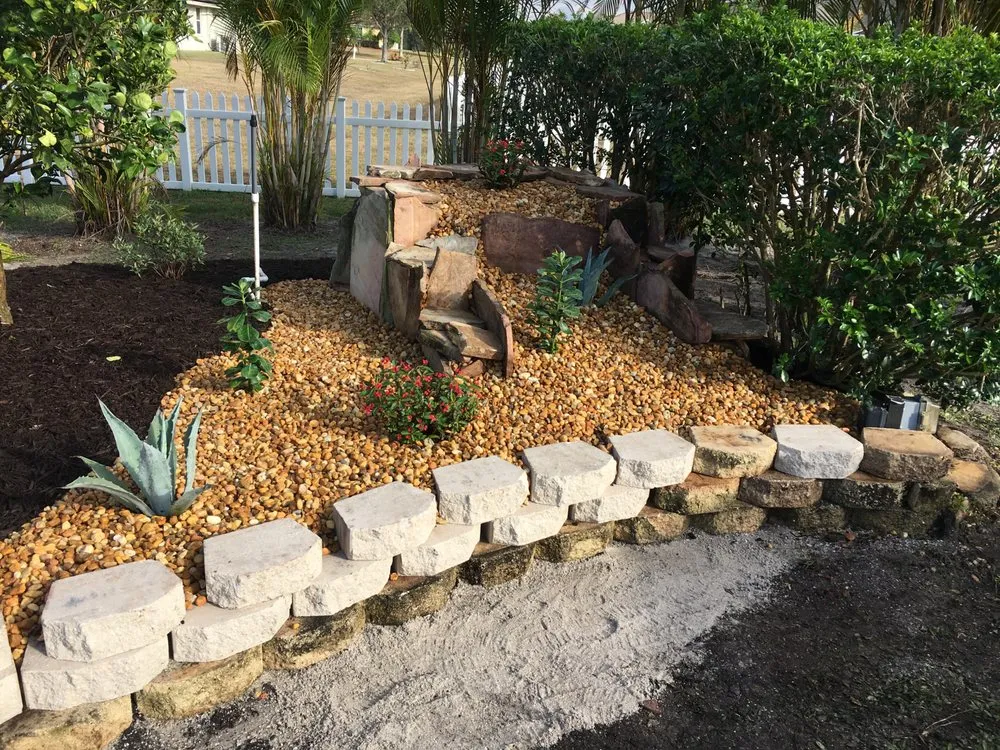 Expert yard cleanup service in Punta Gorda, FL - Palm Trees Plus