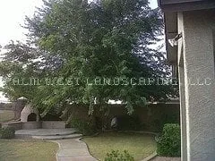 Reliable garden landscaping in East Velley, AZ - Palm West Landscaping