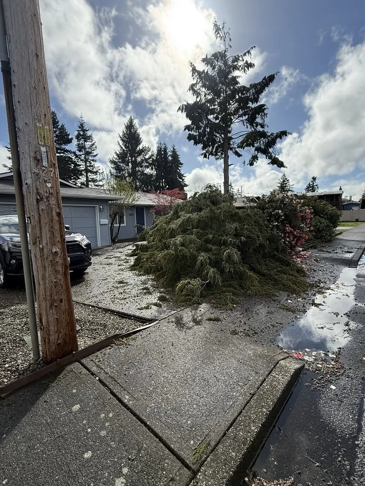 Trusted outdoor landscaping with custom design in Auburn, WA by Palma Construction Services