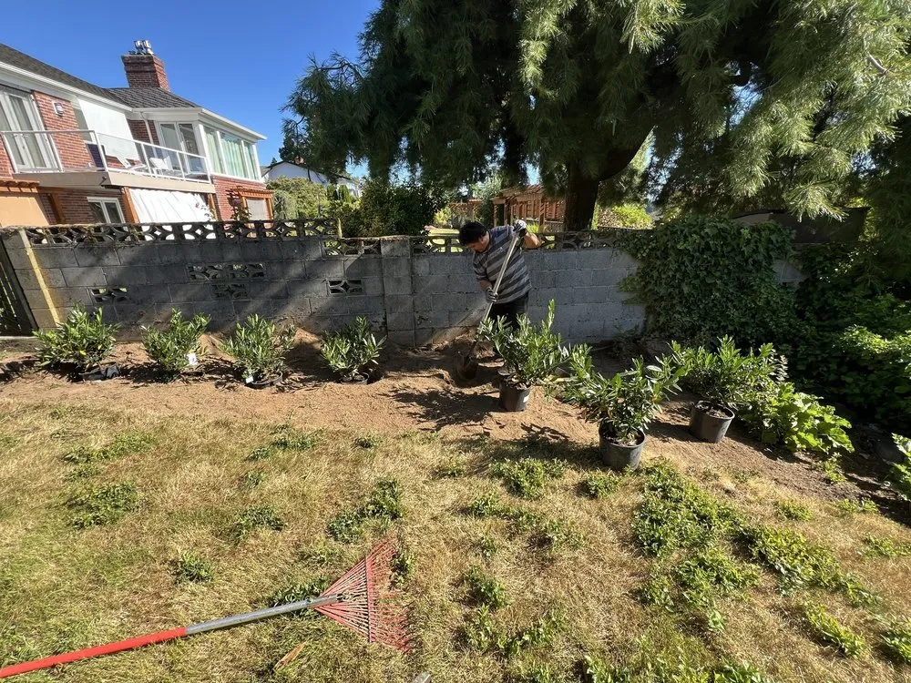 Professional lawn care service with custom design in Auburn, WA by Palma Construction Services