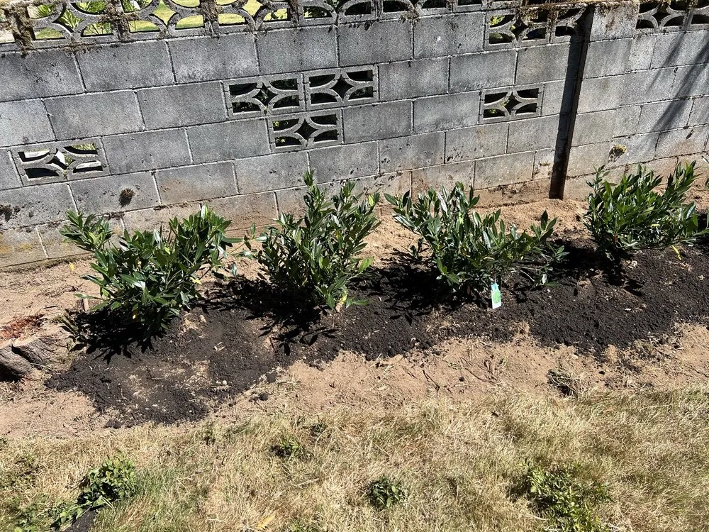 Trusted landscape design experts serving Auburn, WA - Palma Construction Services