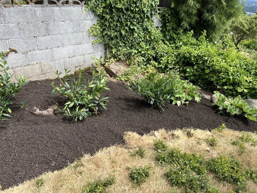 Top-rated landscaping services near you across Auburn, WA - Palma Construction Services
