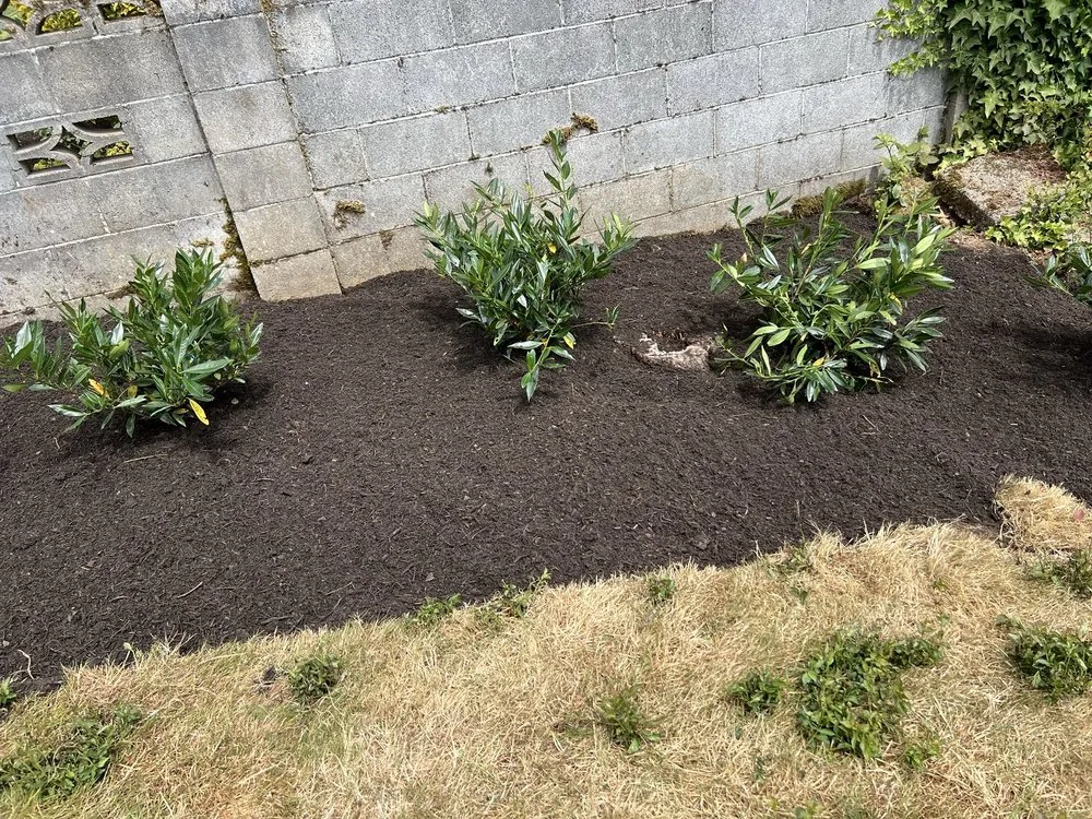 Expert landscaping services for residential properties in Auburn, WA by Palma Construction Services