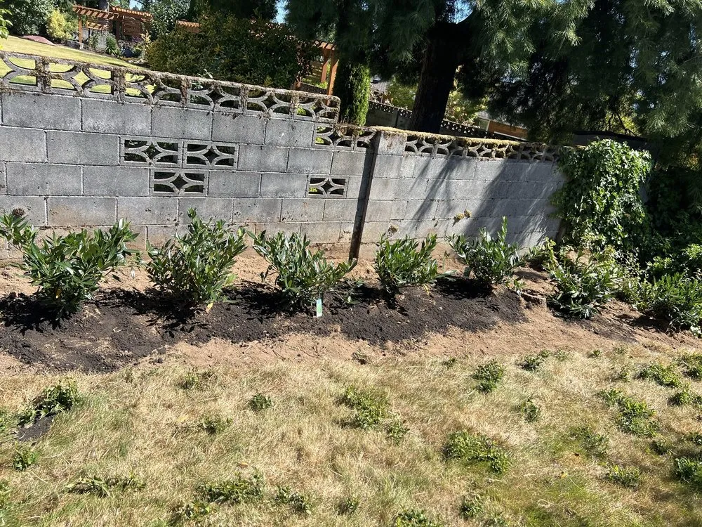 Local yard cleanup service for beautiful yards across Auburn, WA - Palma Construction Services