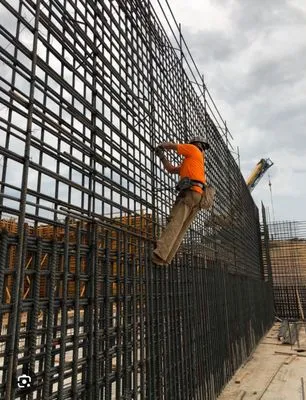 Palma Construction Services Logo