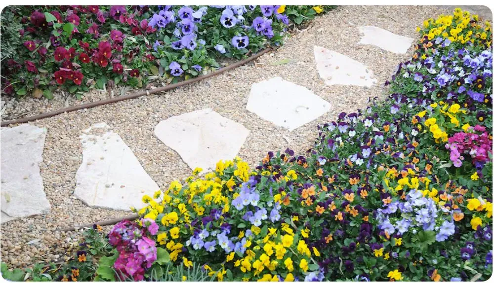 Affordable garden landscaping for year-round maintenance in Conroe, TX by Palma Landscaping