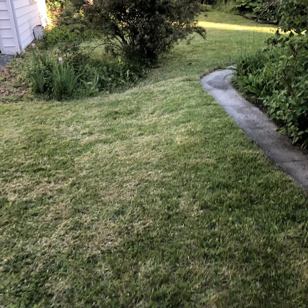 Local yard cleanup service in South Portland, ME - Palma Lawncare