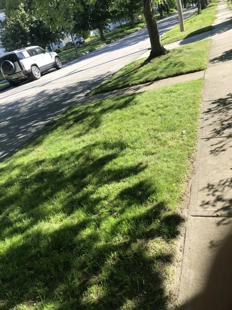 Affordable yard cleanup service in South Portland, ME - Palma Lawncare