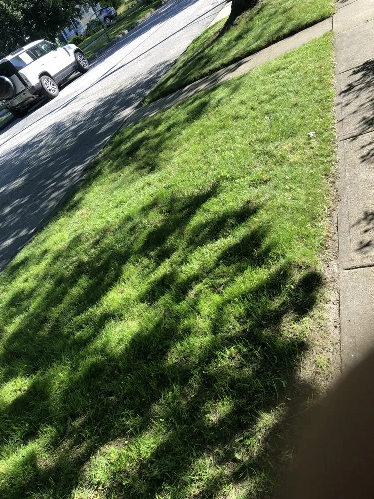 Affordable landscaping services in South Portland, ME - Palma Lawncare