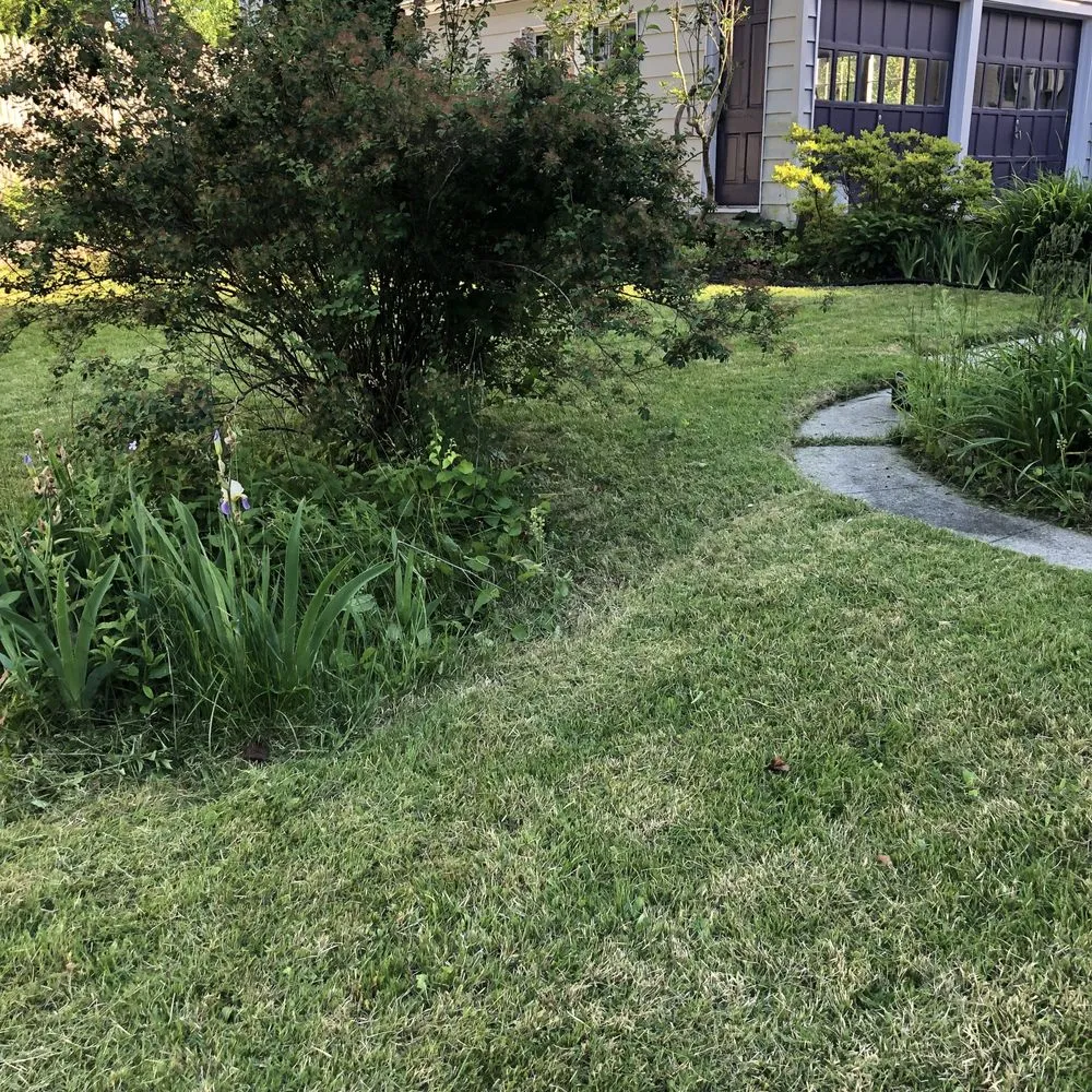 Reliable landscape installation in South Portland, ME by Palma Lawncare