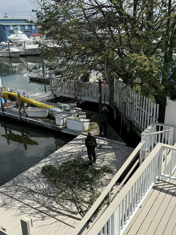 Top-rated lawn care service experts serving Valley Stream, NY - Palmares Landscaping