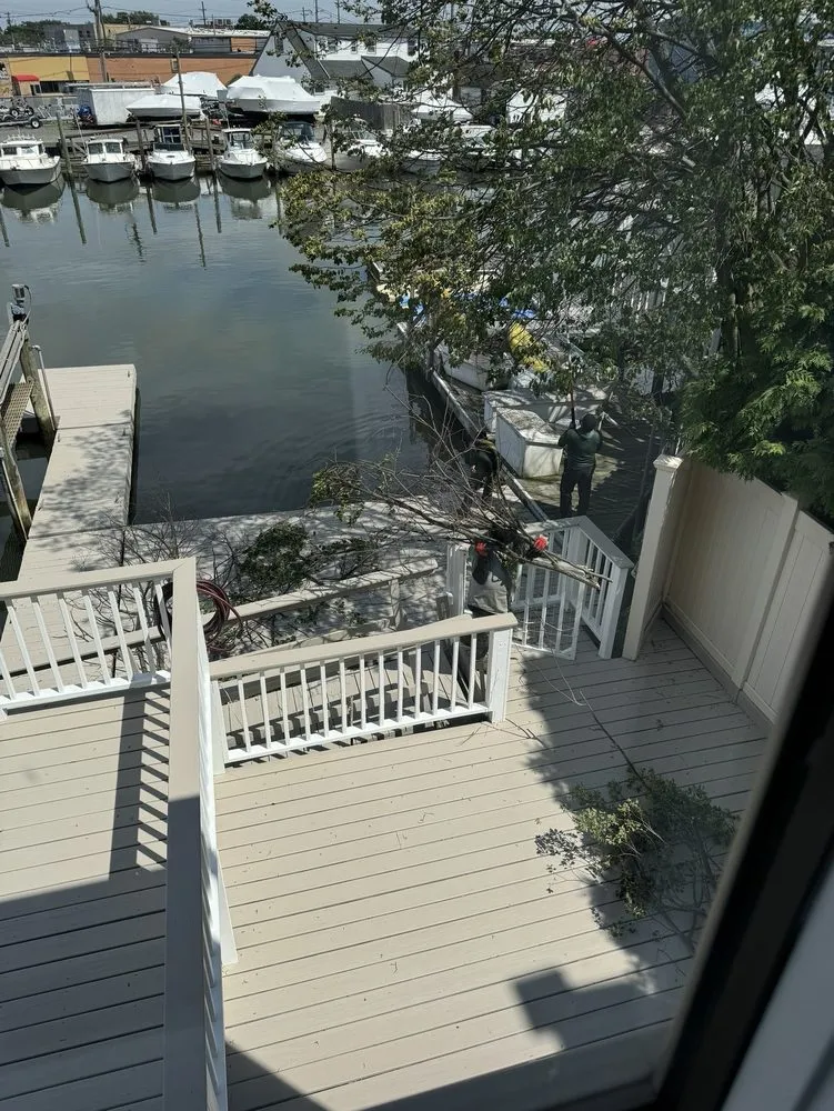 Professional lawn care service experts serving Valley Stream, NY - Palmares Landscaping