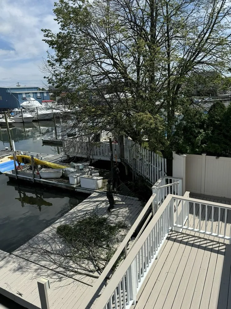 Reliable lawn care service for year-round maintenance in Valley Stream, NY by Palmares Landscaping