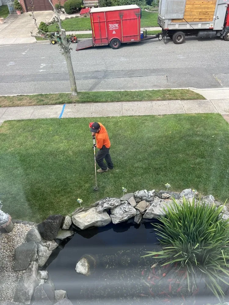 Custom lawn mowing service experts serving Valley Stream, NY - Palmares Landscaping