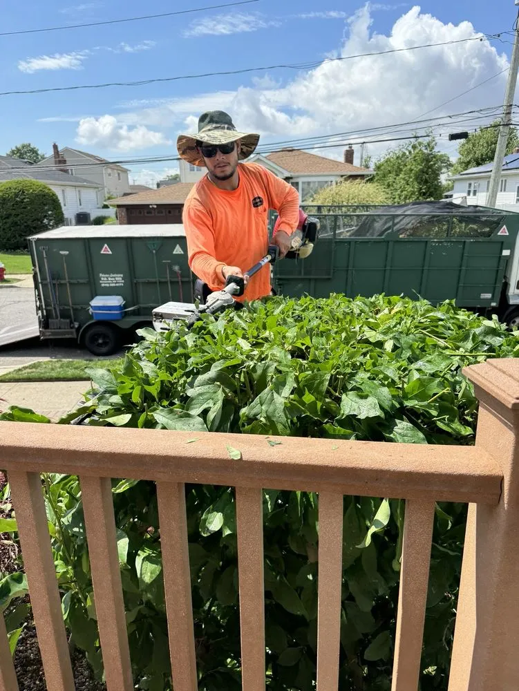 Professional landscaping services in Valley Stream, NY - Palmares Landscaping